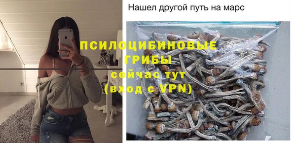 дмт Михайловск