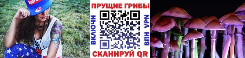 Галлюциногенные грибы прущие грибы  Тайшет 