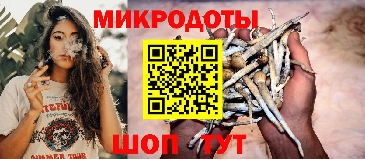 Галлюциногенные грибы мухоморы  Вход с VPN  купить наркотики цена  Тайшет  Псилоцибиновые грибы мицелий 