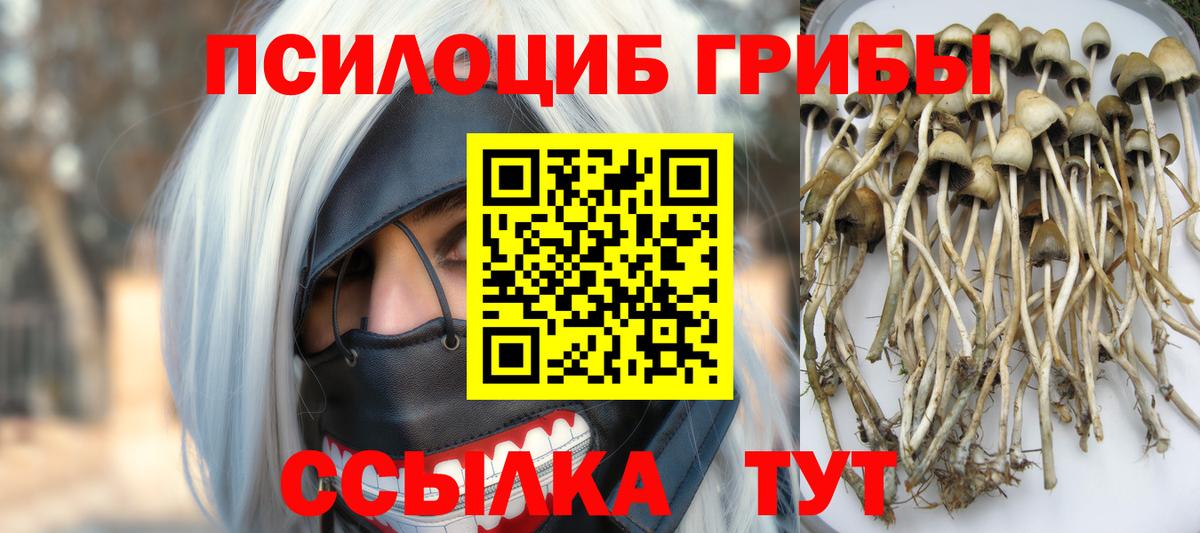 Псилоцибиновые грибы MAGIC MUSHROOMS Тайшет